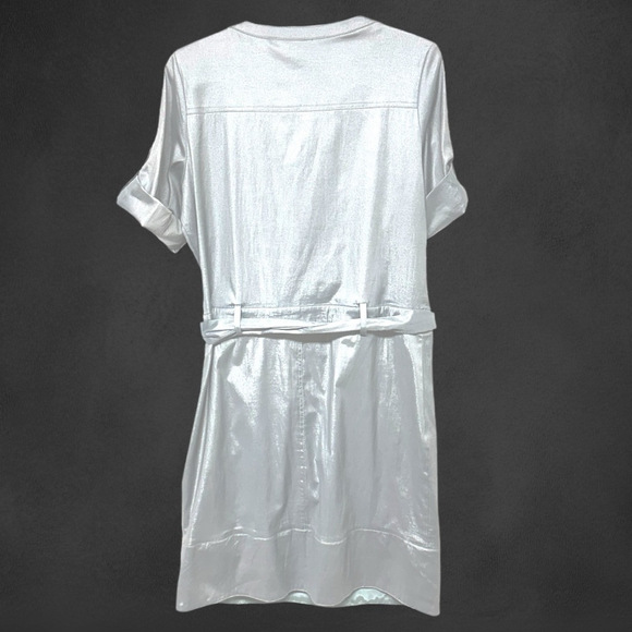 112 - Ruscoe X-Large Silver Dress - Picture 7 of 15